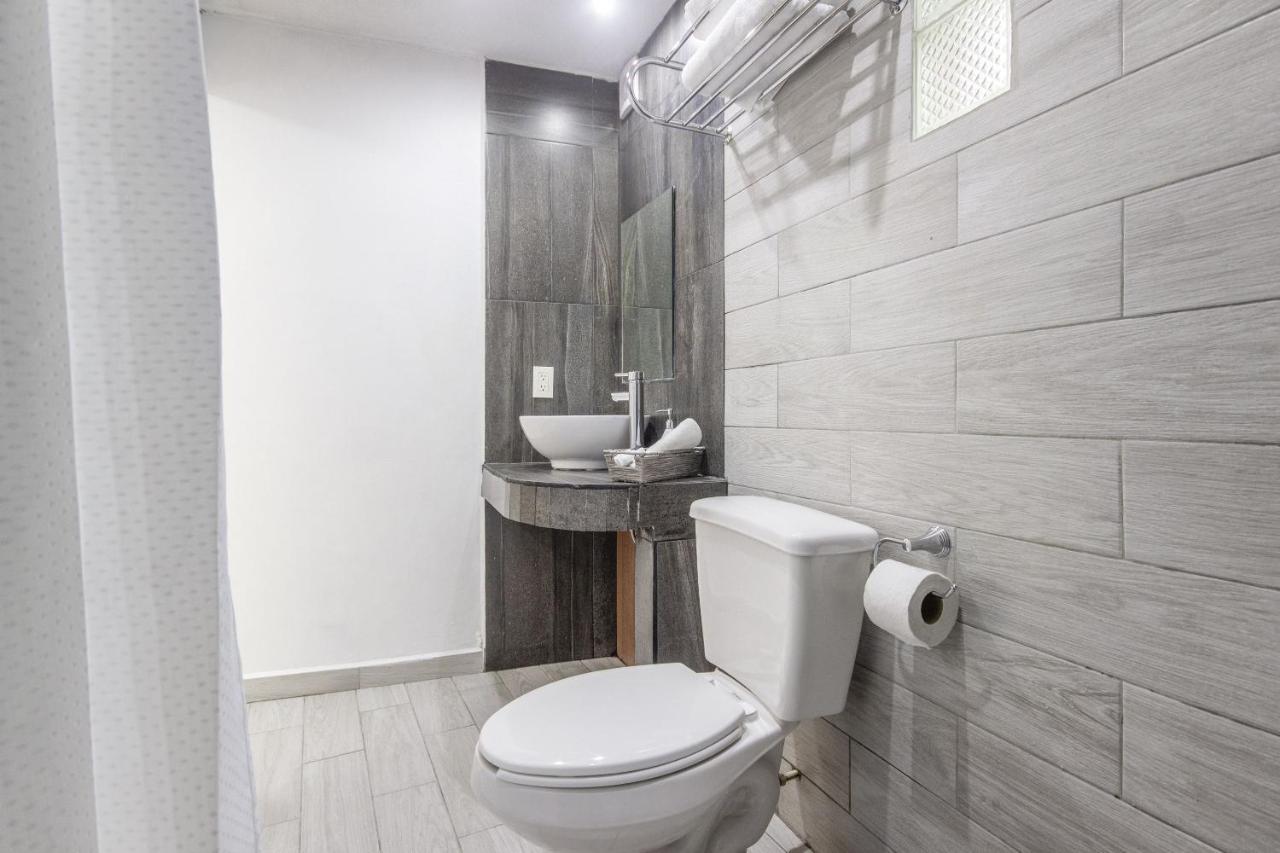 Hotel La Coleccion, Universidad De Guanajuato, Centro Dış mekan fotoğraf
